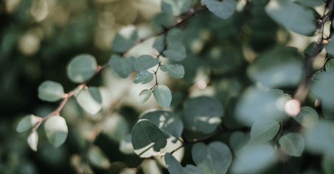 Aleph Tav Body Touch Therapy